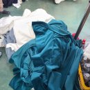 크린특수세탁 이미지