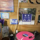 111호프로젝트 | 묵호 혼자 여행 | 111호 프로젝트 묵호 필름 투어 후기 (어대노 투어)