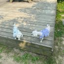 두리 락 | 그럼에도, 행복할 것