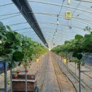 우리들엔영농조합법인 이미지