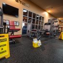 New Body Gym 이미지