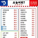 오늘머회