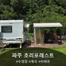 초리당 | 파주 초리포레스트 당일 파티룸 대여 후기 | 수영장, 계곡, 바베큐까지 한 번에!
