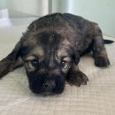 외답6길 이미지