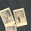 (주)삼광랩트리 | 삿포로 가볼만한곳 비에이투어 홋카이도랩 스탠다드 내돈내산 후기