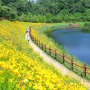 악양생태공원 이미지