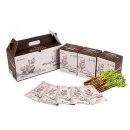 화순불미나리 이미지