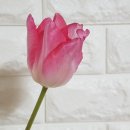 신선축산 이미지