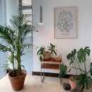 슬로우어스제주 이미지