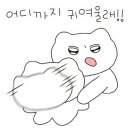 미스터꼼장어