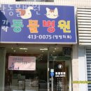 가락동물병원 | 송파구 방이1동 동물병원 가락동물병원 진료시간 접근성 이용후기