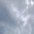 하이퐁