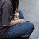 동탄중앙동물병원 이미지