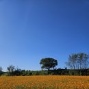 가조온천 이미지