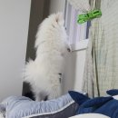 원불교은혜나눔센터 | 올해도 별자리 운세가 꼴등이네 내년에 일어나야지