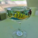 유나포차 이미지