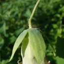 한창농장 이미지