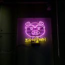 브라더갈매기