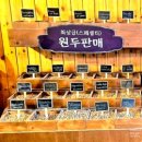 나무카페 | 대청호 물길 따라 펼쳐진 뷰 맛집, 옥천 🌿뿌리 깊은 나무 카페 후기