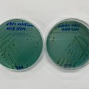 전라북도보건환경연구원 이미지