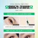 하울라스틱