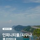 쏠비치 호텔앤리조트 진도 인피니티풀 이미지