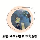 태빈농장 | 포항 신상 체험농장 아무르망고