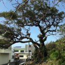 협재리경로당 이미지