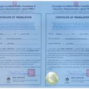 창성행정사 사무소 이미지