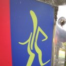 청량산 임도2 이미지