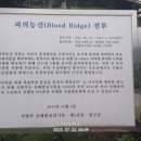 월운리 마을회관 이미지