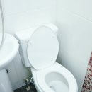 올스테이인 이미지