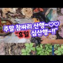 주말 참싸리 산행~!! 이미지