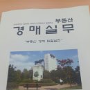 부동산경매 심화 이미지