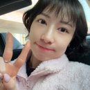 사랑쉼터의 집 | 울산 / 부산 유기견봉사 , 미키네 쉼터 주말 보호소 봉사활동 후기 (야간근무하고 달려간 썰)