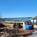 백암레져 이미지