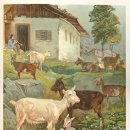 건담한의원 이미지