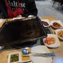 수원 소곱창 맛집 백년황소곱창! 직접 먹어본 솔직 후기 🔥