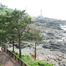 1박2일유람선연계코스 이미지