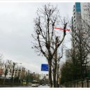 한독정형외과의원 이미지