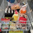 연성전자 | 코스트코 추천템 | 샌드위치 재료 장보기 후기 (빵부터 치즈까지 싹 다!)