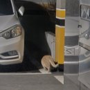 25시노래방 | 과거에 집착하지마