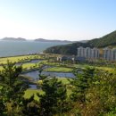 신진도pc 이미지