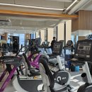 잇짐 미남점 | 미남역 동래역 PT추천 헬스장등록후기