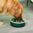 그린애견샵 이미지