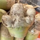 가나카센타 | 2025년 연말정산합니다