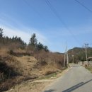 완도읍-4 이미지