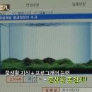 똘똘이비디오 티스토리