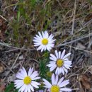 포항종합상사 이미지