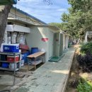 파라다이스D 이미지